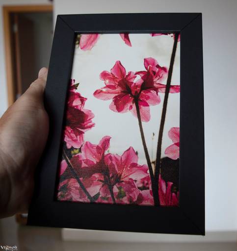 Quadro impresso na madeira