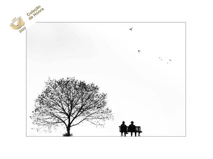 Categoria: Tema Livre