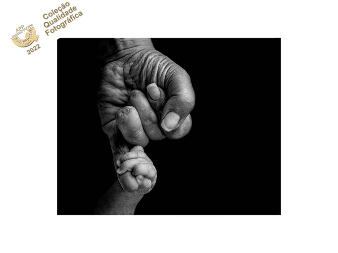 Coleção de Qualidade Fotográfica: 7 de 8 