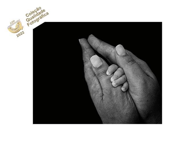 Coleção de Qualidade Fotográfica: 6/8