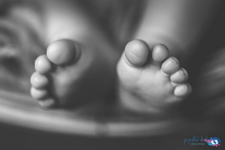 melhor fotografo de recem nascido porto gaia coimbra aveiro lisboa