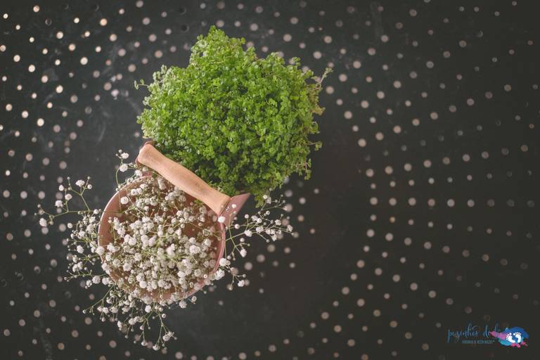 Pezinhos de Lã, Batismo, Batizados, Quintas, Porto, Vila Nova de Gaia, Yeatman, Quinta da Morgadinha,, Fotógrafo Batizados