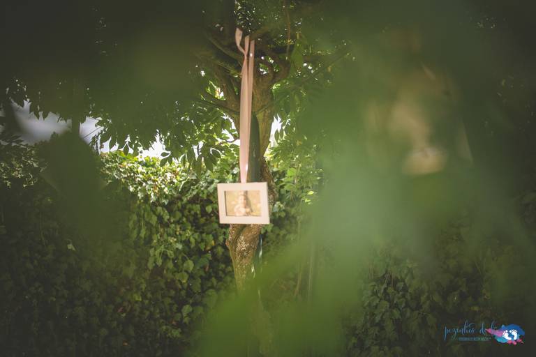 Pezinhos de Lã, Batismo, Batizados, Quintas, Porto, Vila Nova de Gaia, Yeatman, Quinta da Morgadinha,, Fotógrafo Batizados