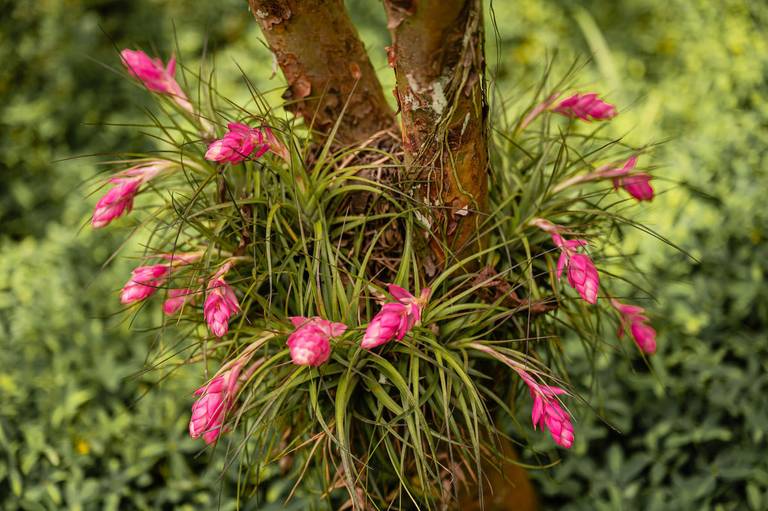 Fotografia de imóveis Airbnb Casa 10. Casa para temporada na Praia da Joatinga, Barra da Tijuca RJ. Imagens da fotógrafa Jaque Salles.