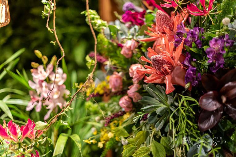 Fotografia de Ambiente -Casamento Verde Lajedo - RJ Crédito das Imagens Jaque Salles Fotografia