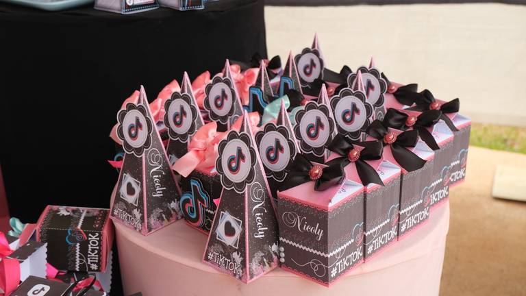 Aniversário de 10 Anos Nicoly
Câmera FujiFilm X-T30 Mirrorless  tema  do aniversário TiK Tok