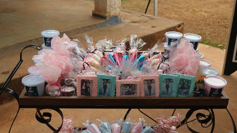 Aniversário de 10 Anos Nicoly
Câmera FujiFilm X-T30 Mirrorless  tema  do aniversário TiK Tok