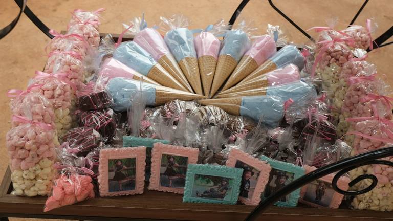 Aniversário de 10 Anos Nicoly
Câmera FujiFilm X-T30 Mirrorless  tema  do aniversário TiK Tok