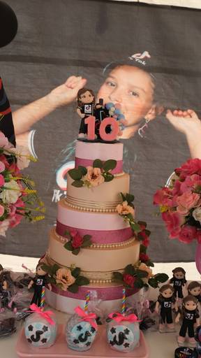 Aniversário de 10 Anos Nicoly
Câmera FujiFilm X-T30 Mirrorless  tema  do aniversário TiK Tok