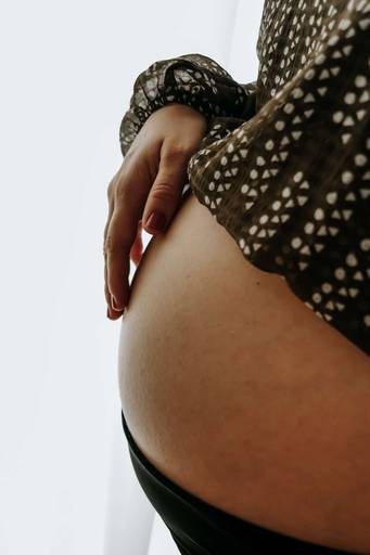 Fotógrafa Ensaio gestante natural em casa Santo André SP