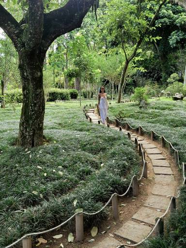 mulher-jardim-botanico-passeando-pelo-parque