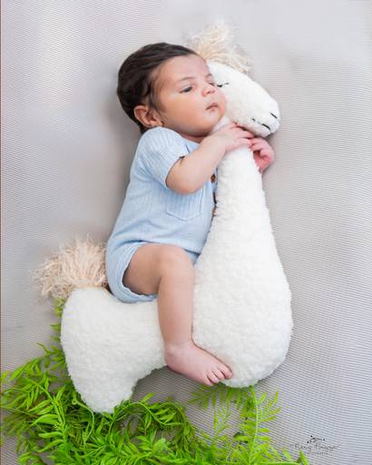 Não aguento este bebê no cavalinho