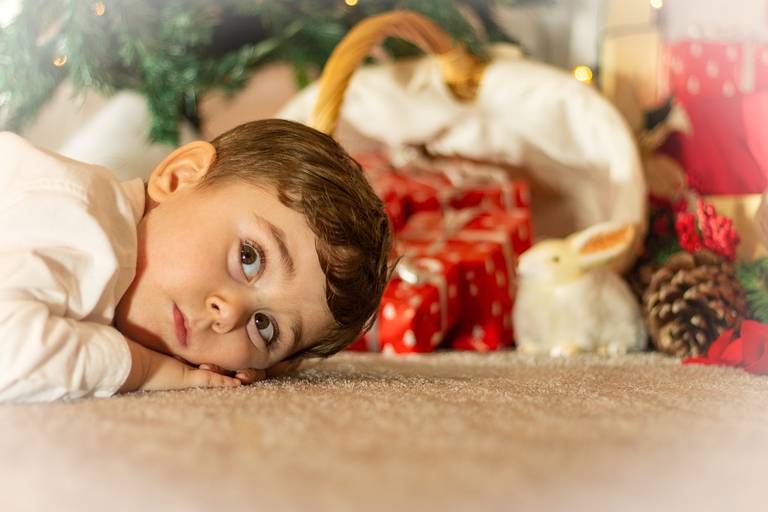 Mini Sessão Natal 2024