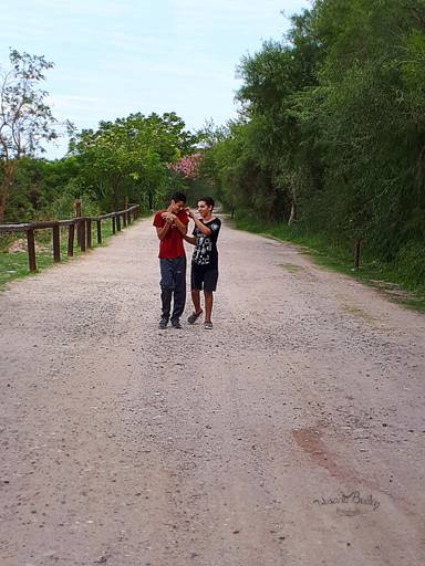 niños caminando en un sendero