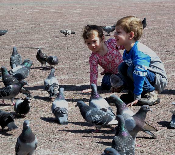 niños jugando con palomas