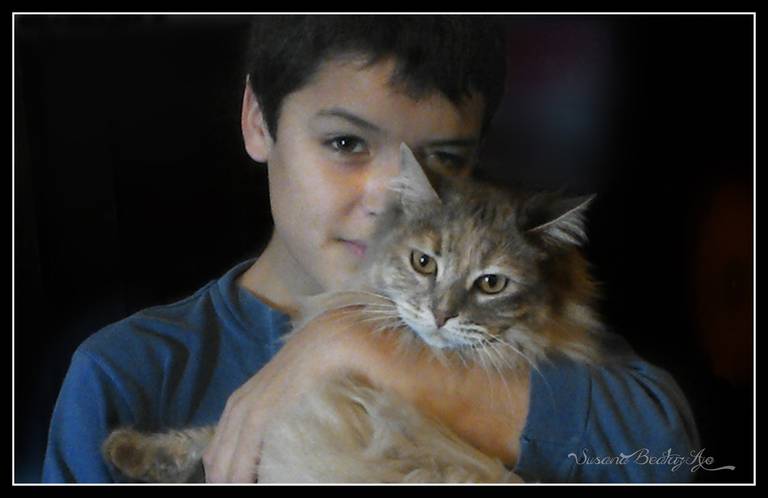 niño con gato