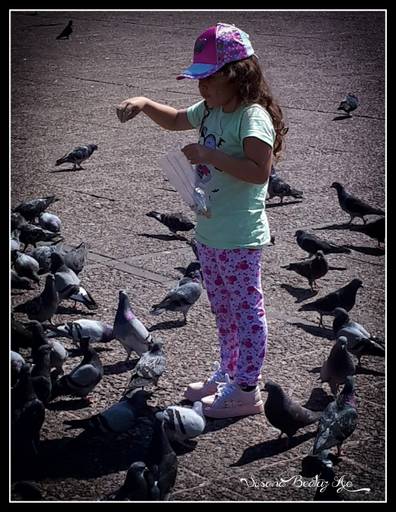 niña dando de comer a palomas