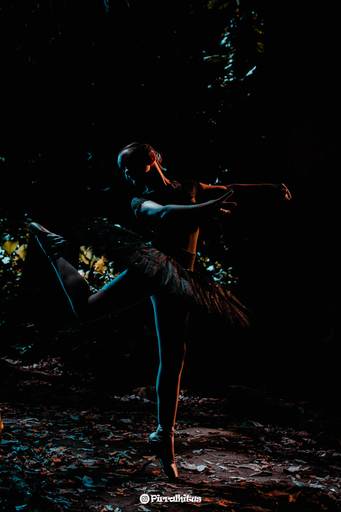 Bailarina no Parque Laje, Rio de Janeiro.