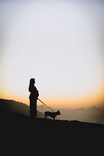 mulher grávida com cachorro na praia ao por-do-sol.