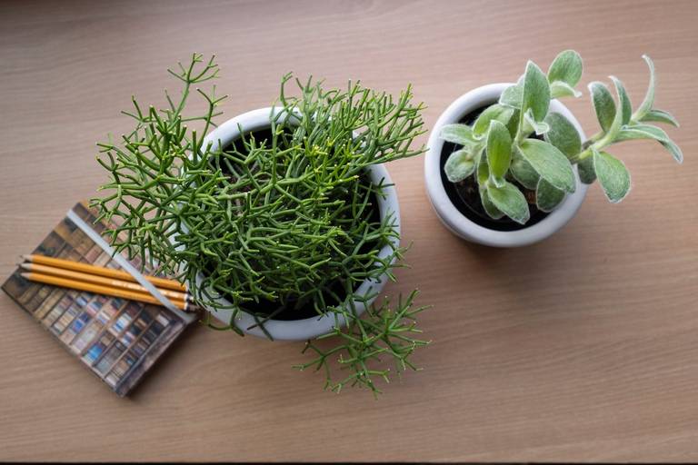 Fotógrafo Arquitetura Campinas