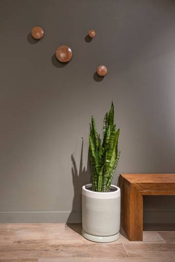 Fotógrafo Arquitetura Campinas