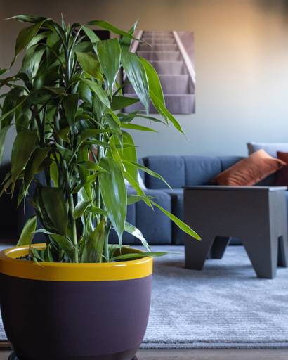 Fotógrafo Arquitetura Campinas