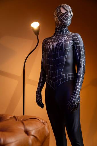 Homem Aranha por Renato Junque