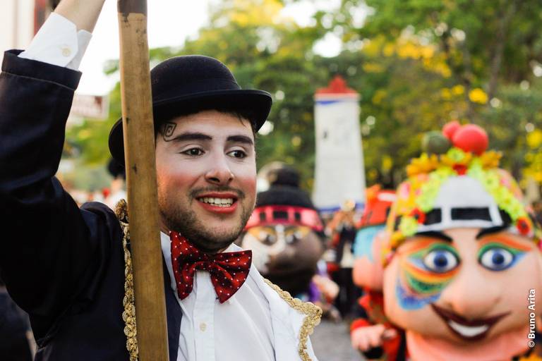 Palhaço segurando um estandarte ou bandeira, com figurino colorido, em um evento festivo ou cortejo.