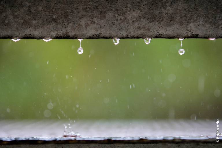 Gotas de água caindo durante a chuva, com um fundo verde desfocado de folhagens.