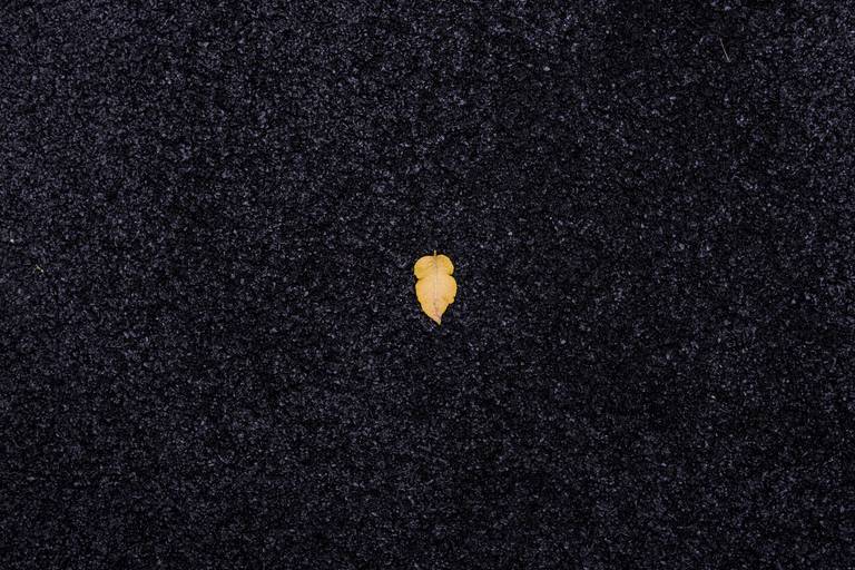 Folha amarela caída sobre um chão preto texturizado, com contraste de cores e texturas.