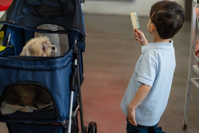 festa infantil – coleção premiada – festa de criança – festa infantil – festa de criança – festa no salão - Inácio – Pelotas – Antonio Rocha Fotografias – Fotógrafo de Crianças – Fotógrafo de Eventos - pet da família - cachorro - bluey - loly pop