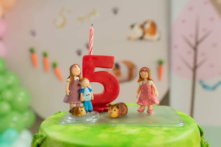 festa infantil – coleção premiada – festa de criança – ensaio de aniversário – festa infantil – festa de criança – festa no salão - alice – Pelotas – Antonio Rocha Fotografias – Fotógrafo de Crianças – Fotógrafo de Eventos -porquinho da india - pirulito
