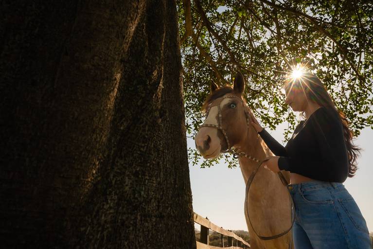 ensaio - debutante - 15 anos - ensaio ao ar livre - fazenda do sobrado - vestido de debutante - vestido da valsa - ensaio entardecer -book de 15 anos - fotos de 15 anos - fotógrafo de 15 anos - pelotas - antonio rocha fotografias - bruna - chácara família