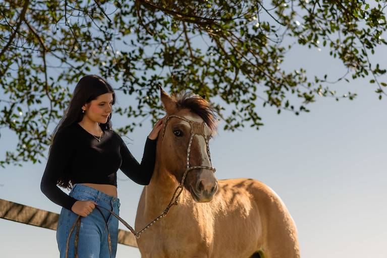 ensaio - debutante - 15 anos - ensaio ao ar livre - fazenda do sobrado - vestido de debutante - vestido da valsa - ensaio entardecer -book de 15 anos - fotos de 15 anos - fotógrafo de 15 anos - pelotas - antonio rocha fotografias - bruna - chácara família