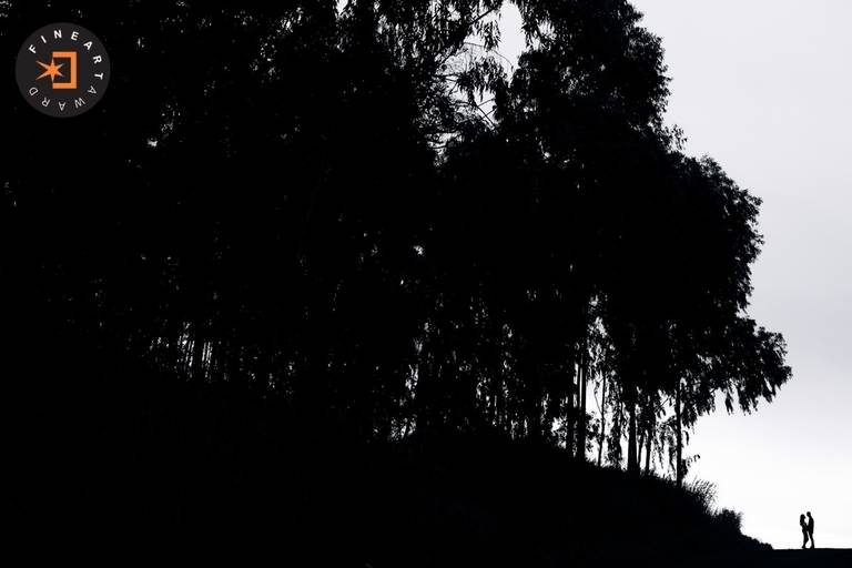 FIneArt - Agosto 2025