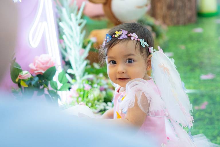 1 ano festida de borboleta