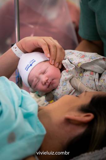 bebé recém nascido encontrando a mãe