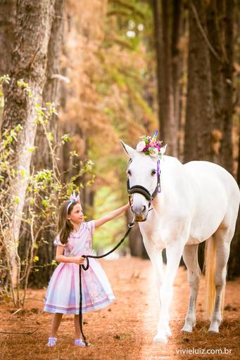 menina fazendo carinho no cavalo