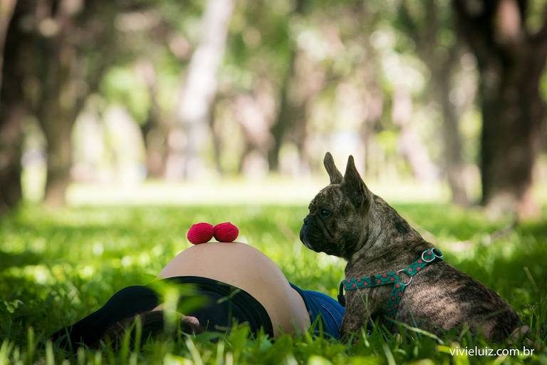 mulher grávida e cachorro