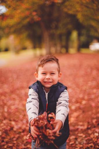 Fotografa Familia Curitiba - Ensaio externo Outono Canaleta bosque 