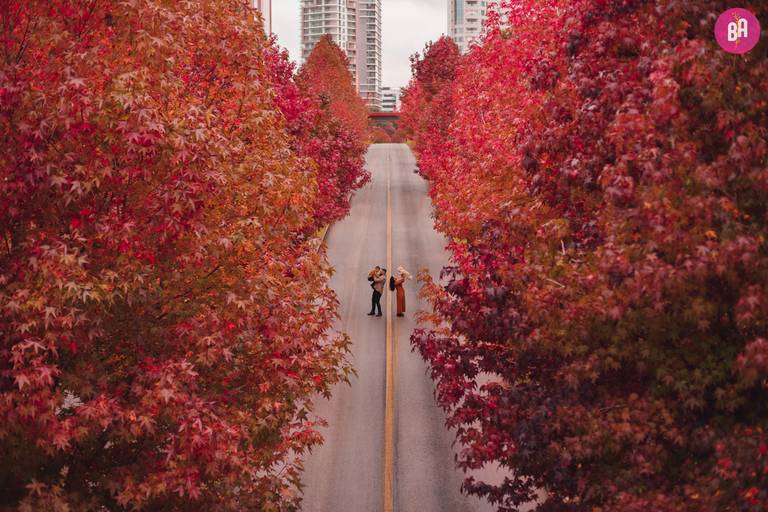 Fotografa Familia Curitiba - Ensaio externo Outono Canaleta bosque 