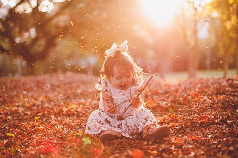 Fotografa Familia Curitiba - Ensaio externo Outono Canaleta bosque 