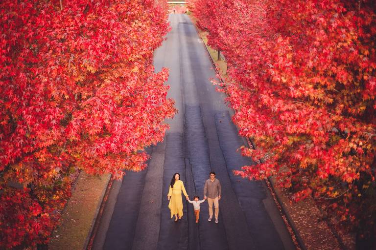 Fotografa Familia Curitiba - Ensaio externo Outono Canaleta bosque 