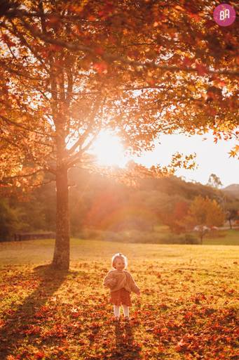 Fotografa Familia Curitiba - Ensaio externo Outono Canaleta bosque 