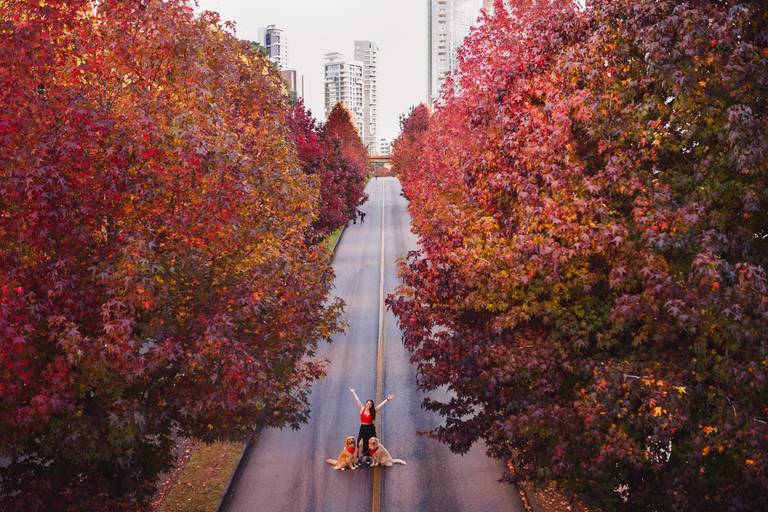 Fotografa Familia Curitiba - Ensaio externo Outono Canaleta bosque 