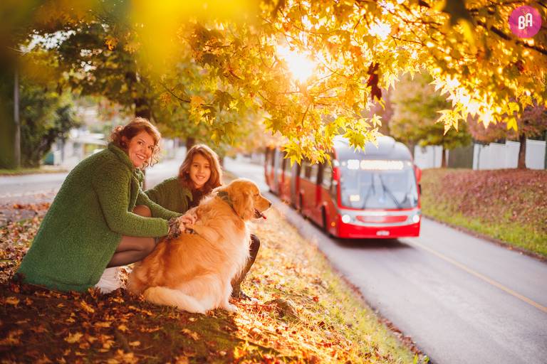 Fotografa Familia Curitiba - Ensaio externo Outono Canaleta bosque 