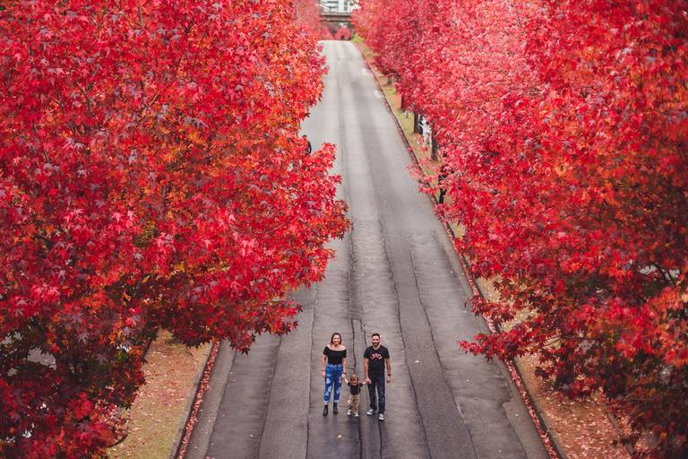 Fotografa Familia Curitiba - Ensaio externo Outono Canaleta bosque 