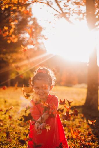 Fotografa Familia Curitiba - Ensaio externo Outono Canaleta bosque 