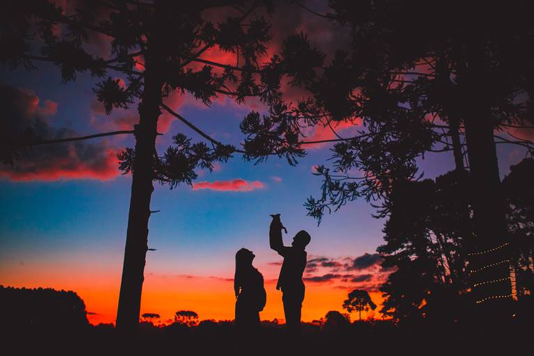 fotógrafa_família_curitiba_gestante_externo