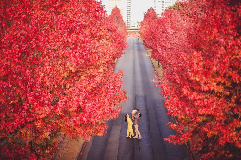 fotógrafa_família_curitiba_gestante_externo
